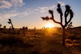 9 beeindruckende Orte im Südwesten der USA, die du als Fotograf besuchen musst