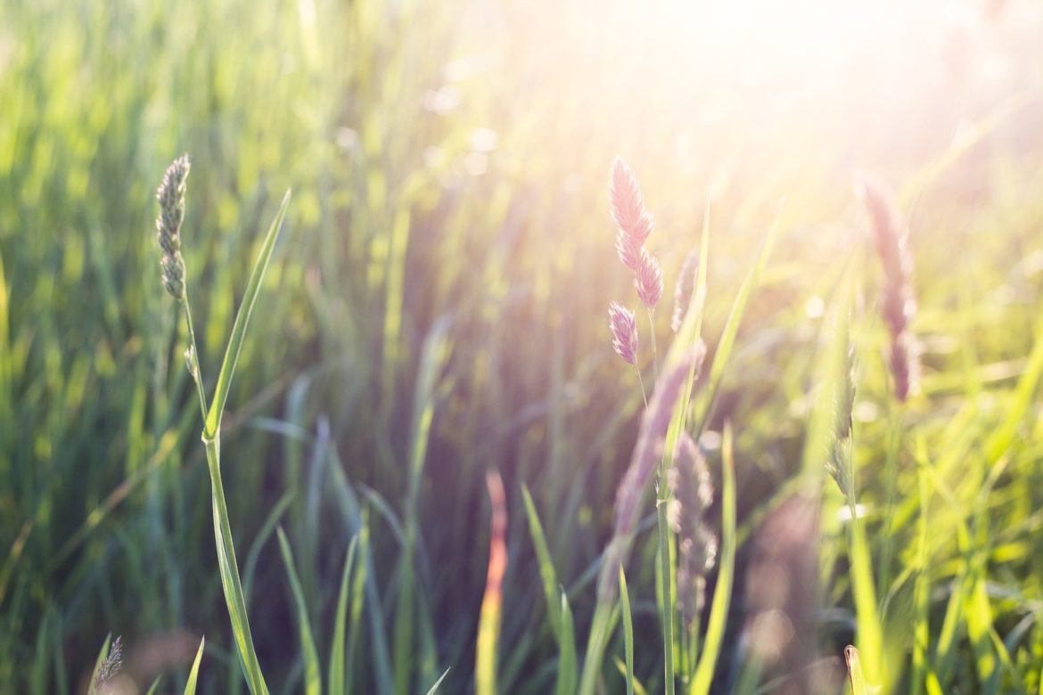 Beispielbild Canon 50mm 1,8