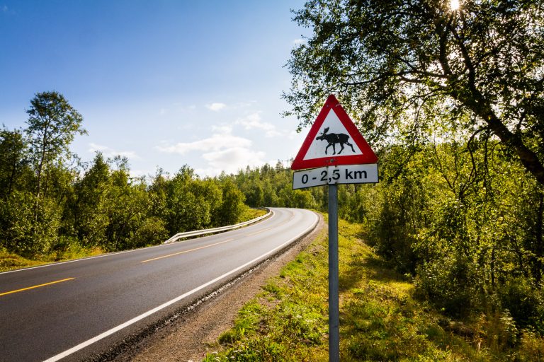 Wie du in 11 einfachen Schritten einen unvergesslichen Roadtrip planst