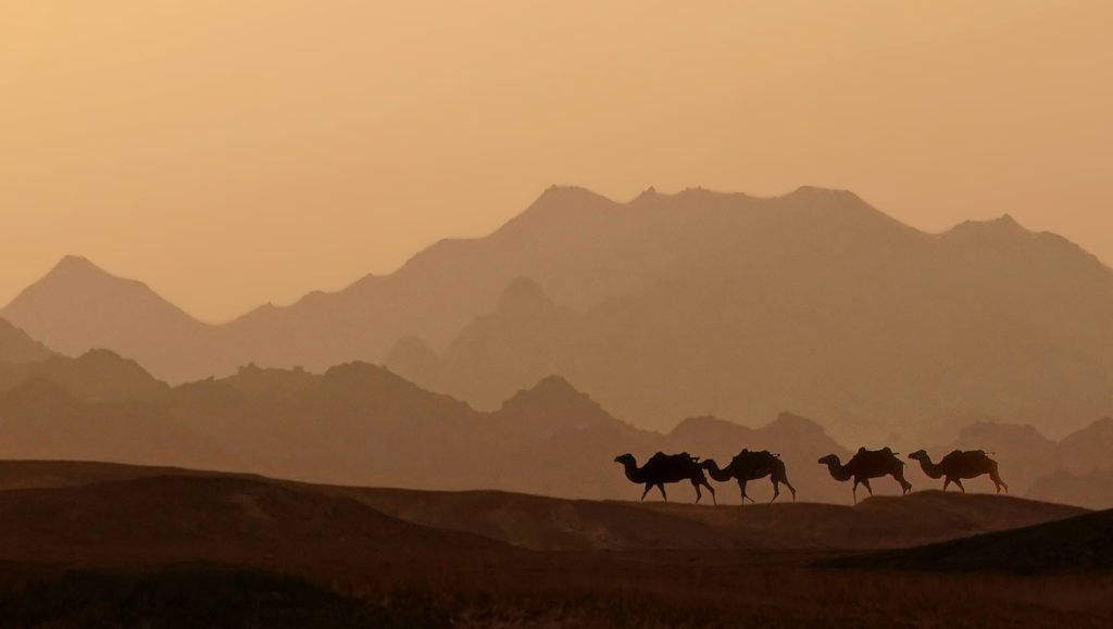 Fotografieren Wüste Afrika