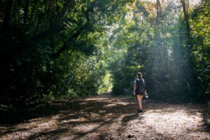 Im Soberania Nationalpark wandern