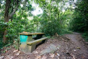 Picknicktisch am Plantation Trail
