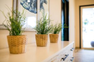 Red Frog Beach Resort