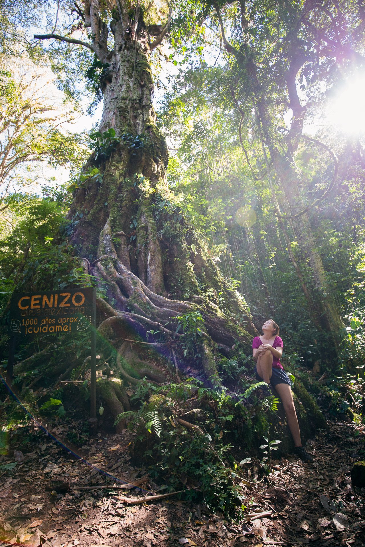 Panama Highlights für Fotografen — Lichter der Welt