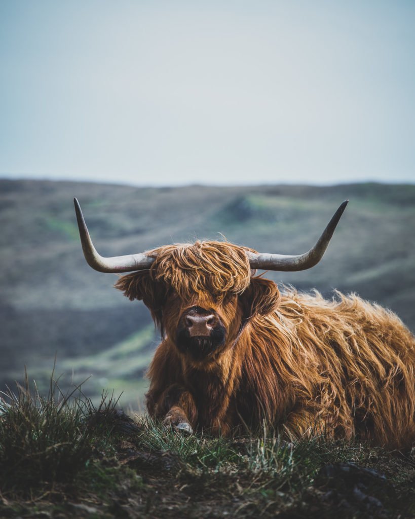  Schottland Rundreise – Planung, Tipps und wunderschöne Spots 