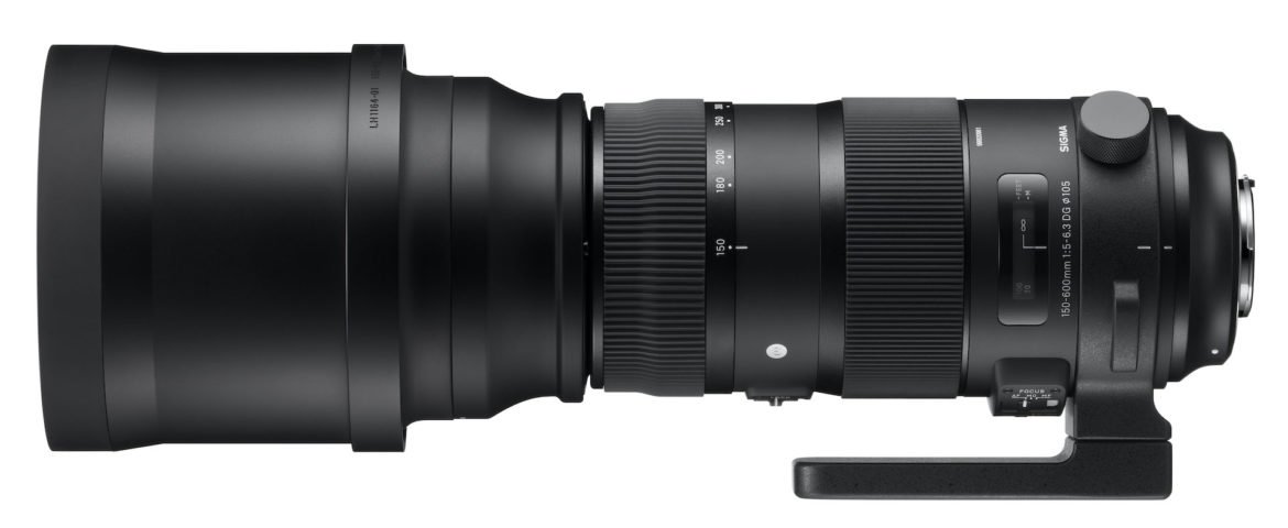 Sigma 150-600mm F5-6.3 DG HSM Sports