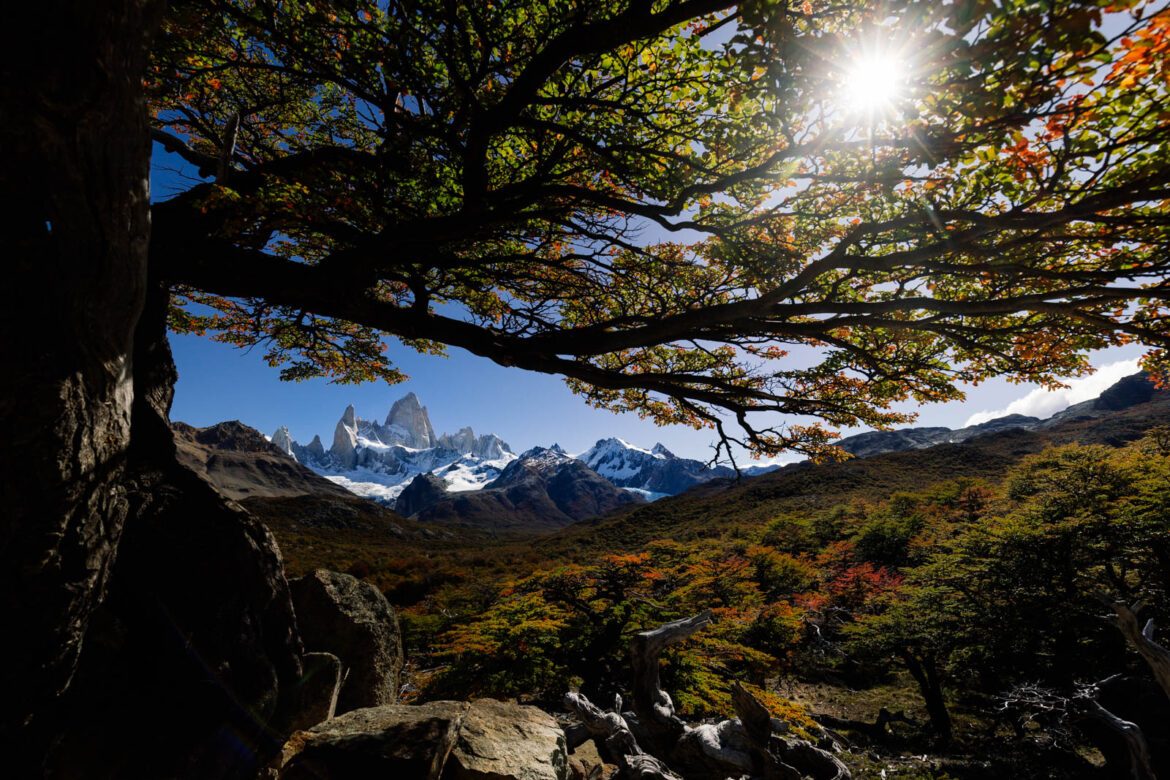 Patagonien Reisebericht Argentinien