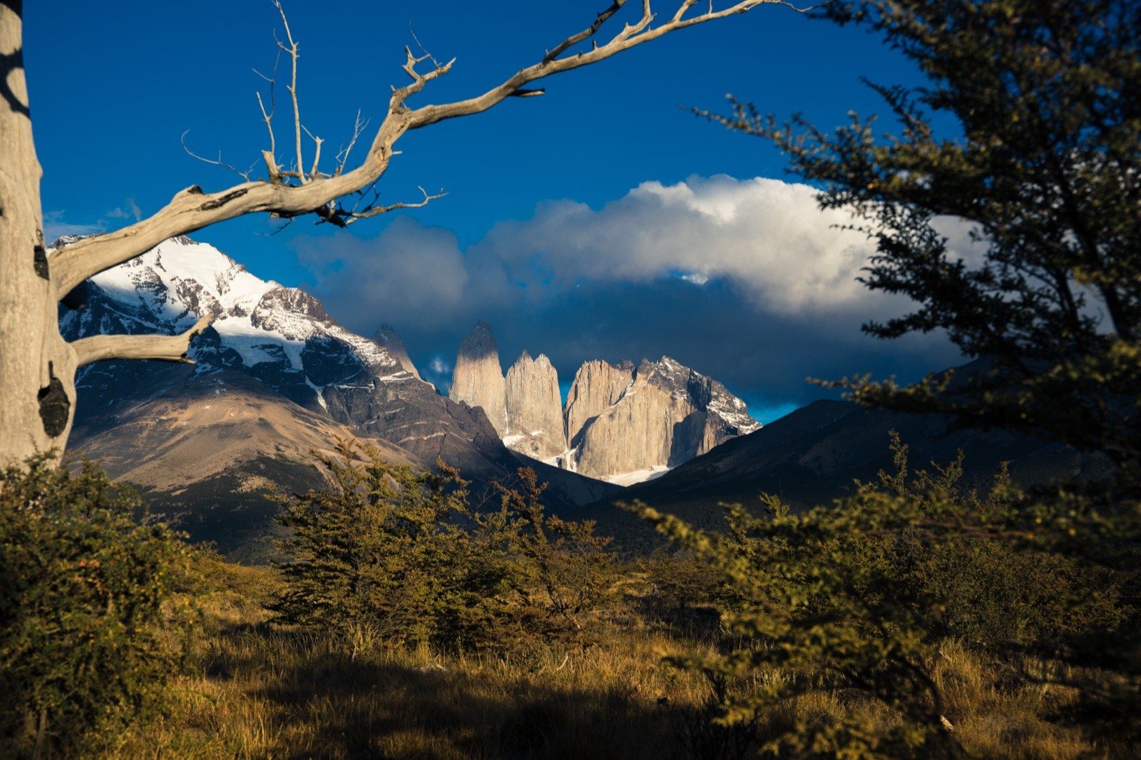 Patagonien Torres del Paine Reisebericht