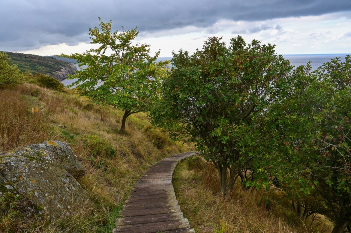 Bornholms Sehenswürdigkeiten Eine Reportage