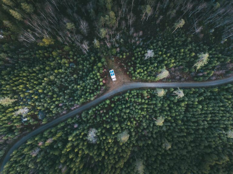 Expeditionsmobil Drohnenaufnahme im Wald
