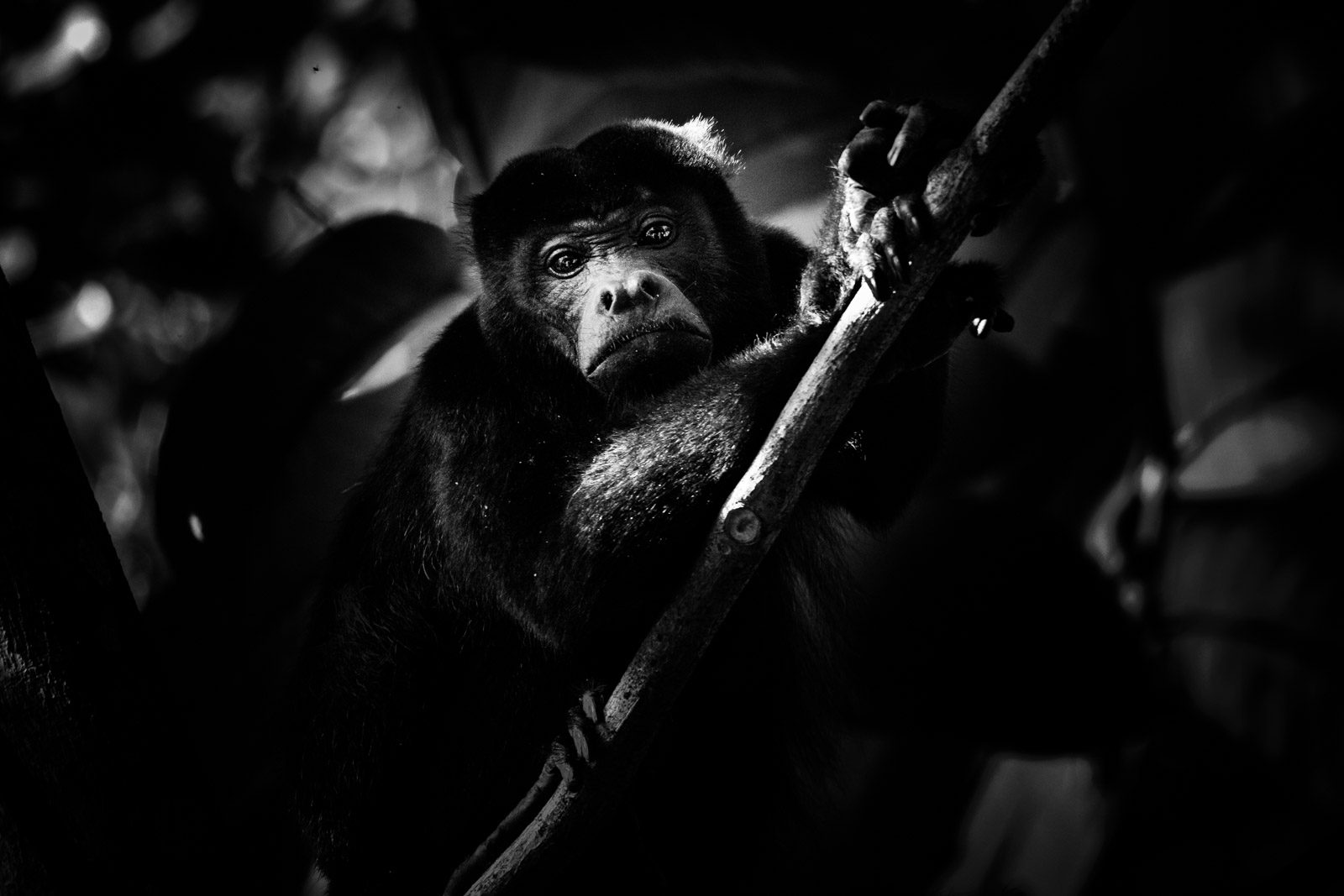 APSC oder Vollformat Wofür du dich heute entscheiden solltest