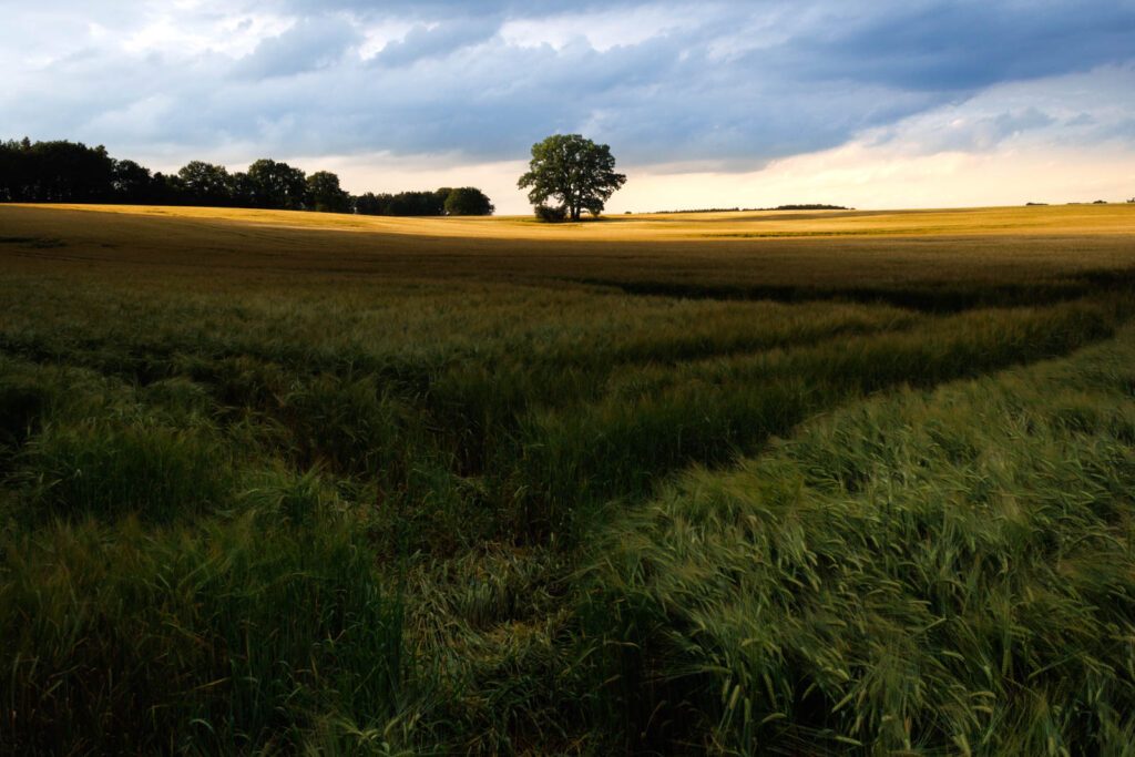 Sigma 18-55 Landschaftsfotografie