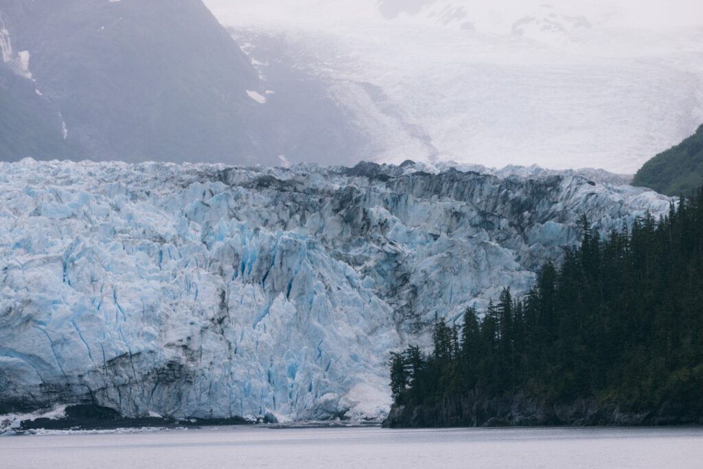 Gletscher Cruise Alaska Valdez