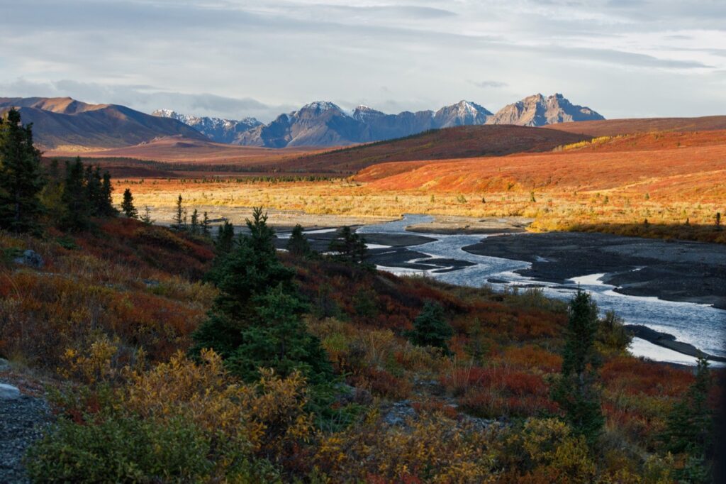 Reise durch Alaska Bericht