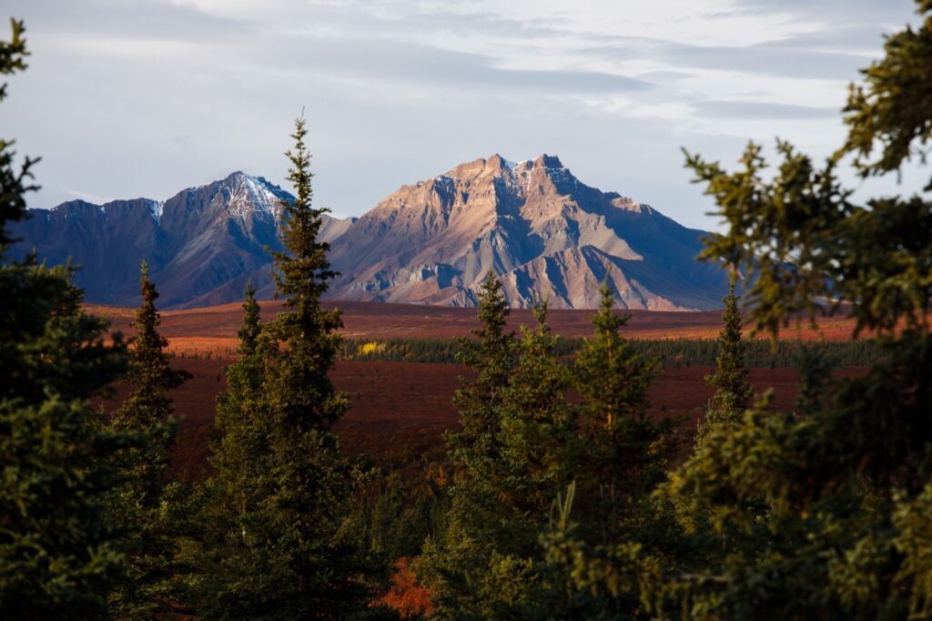 Landschaft im Denali Nationalpark Alaska