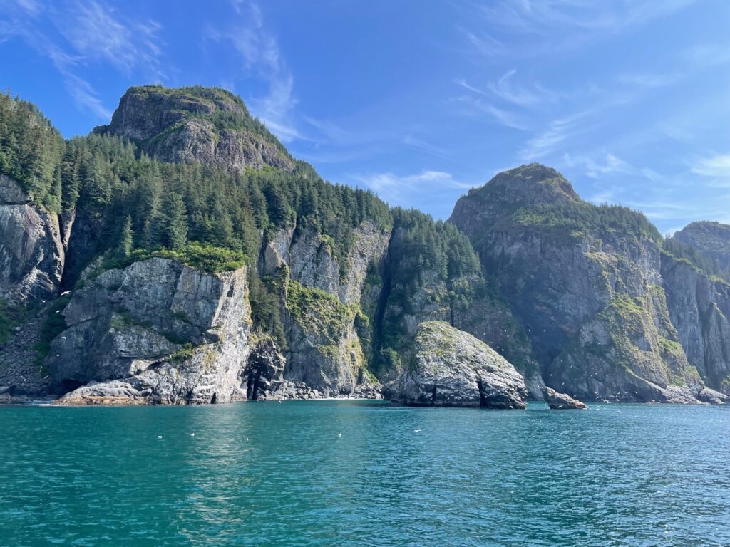 Wildlife Cruise in Alaska Resurrection Bay Kenai Fjords