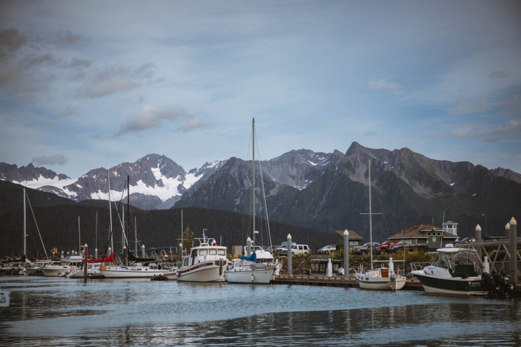 Wildlife Cruises in Seward, Resurrection Bay