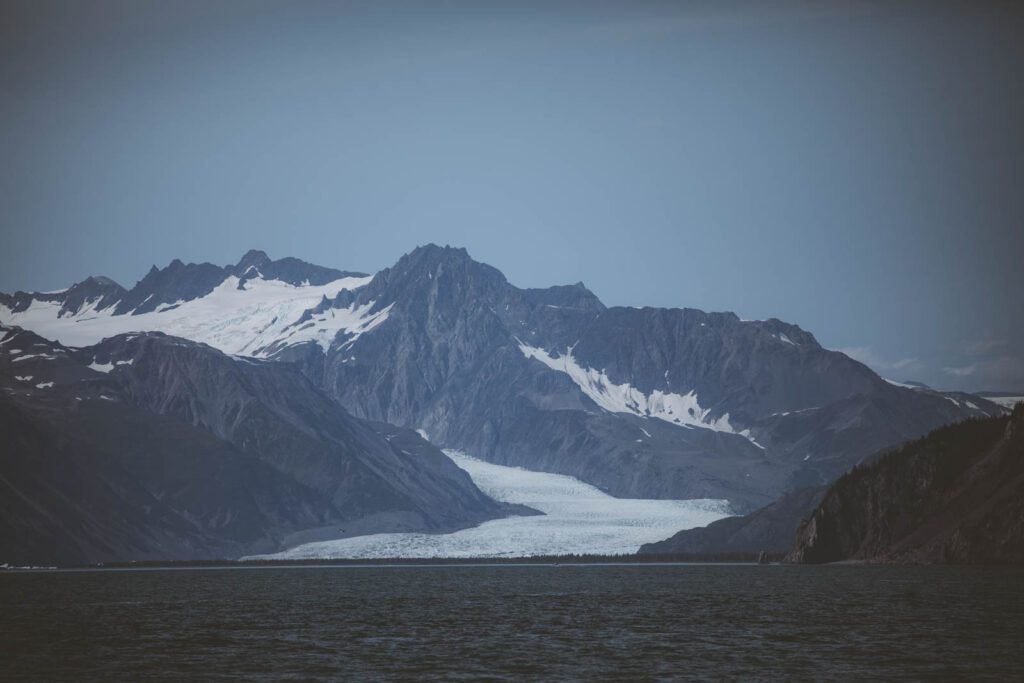 Wildlife Cruise Alaska