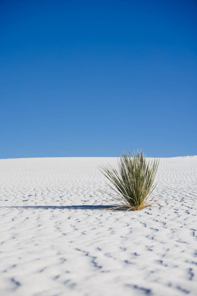 White Sands Tipps