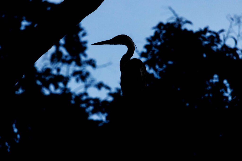 Nacht auf dem Amazonas