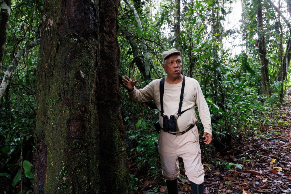 Amazonas Guides Tipps