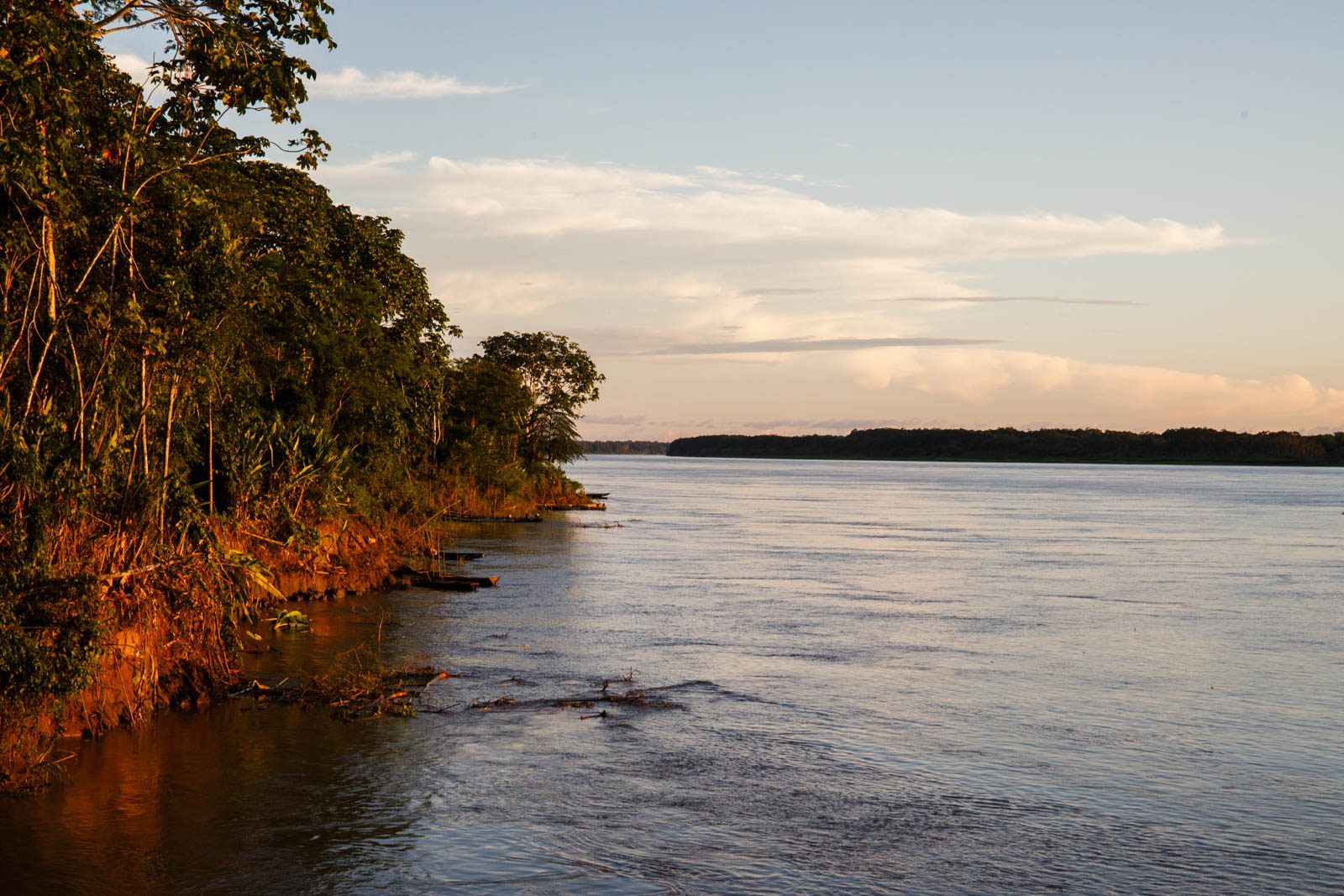 Amazonas Kreuzfahrt vs Lodge