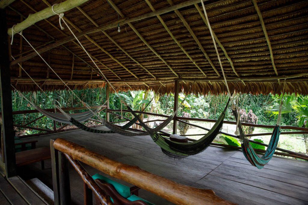 Amazonas Kreuzfahrt vs Lodge
