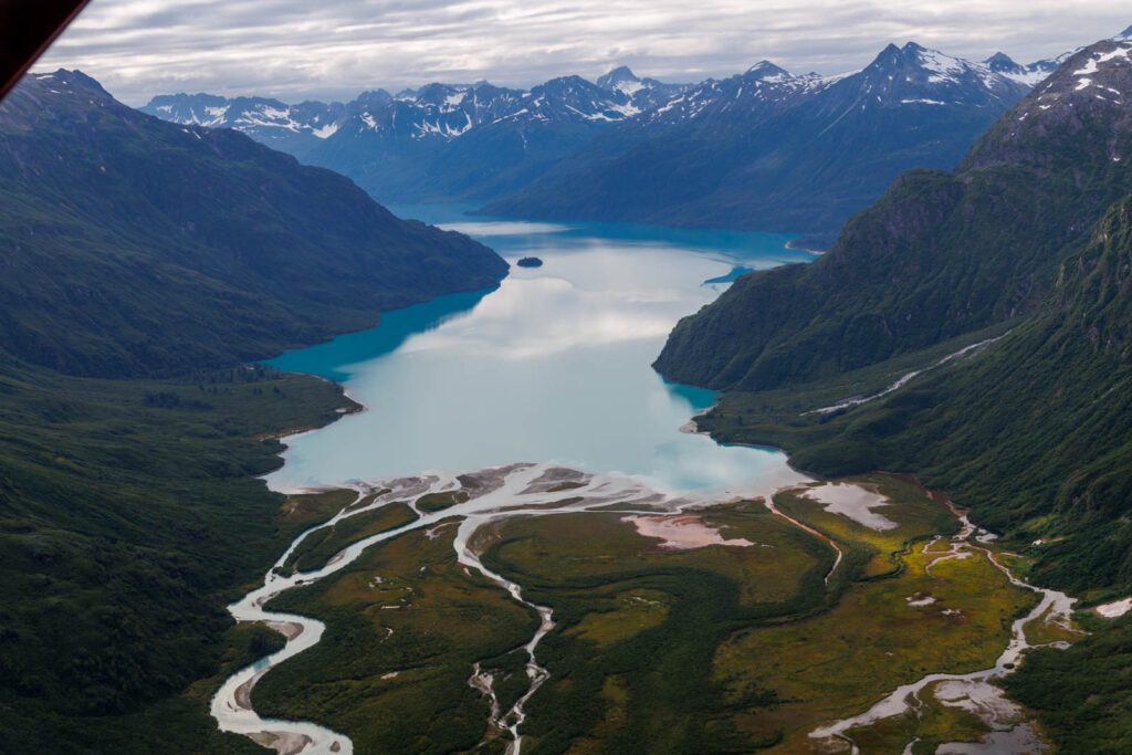 Bären in Alaska am See