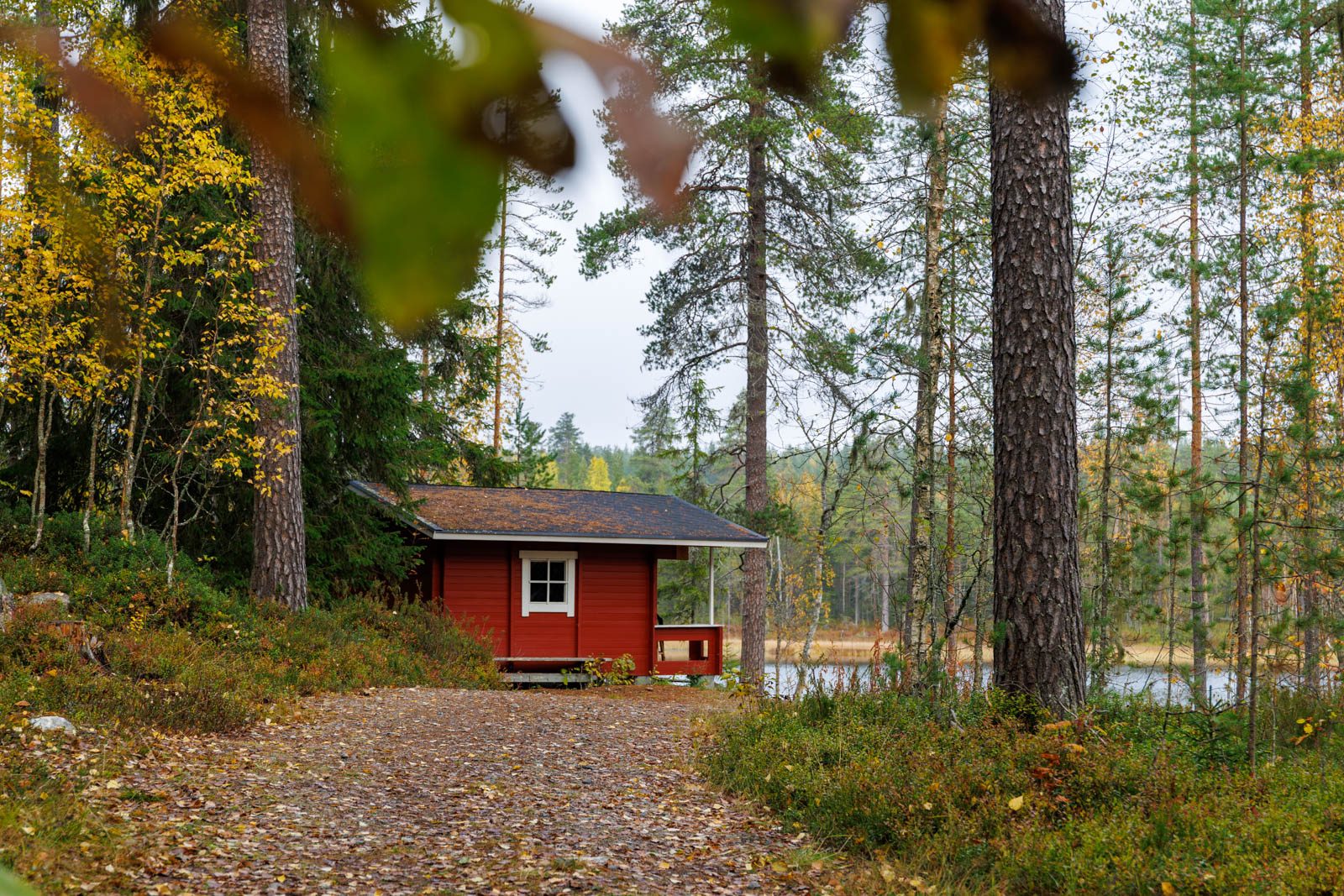 Holzhaus im Wald