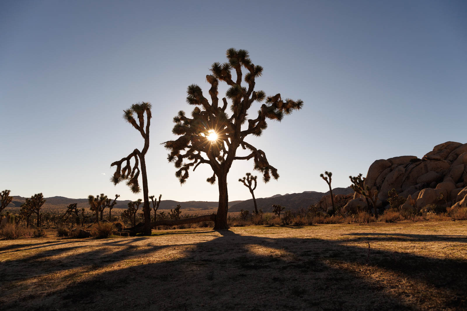 Bildkomposition in der Fotografie